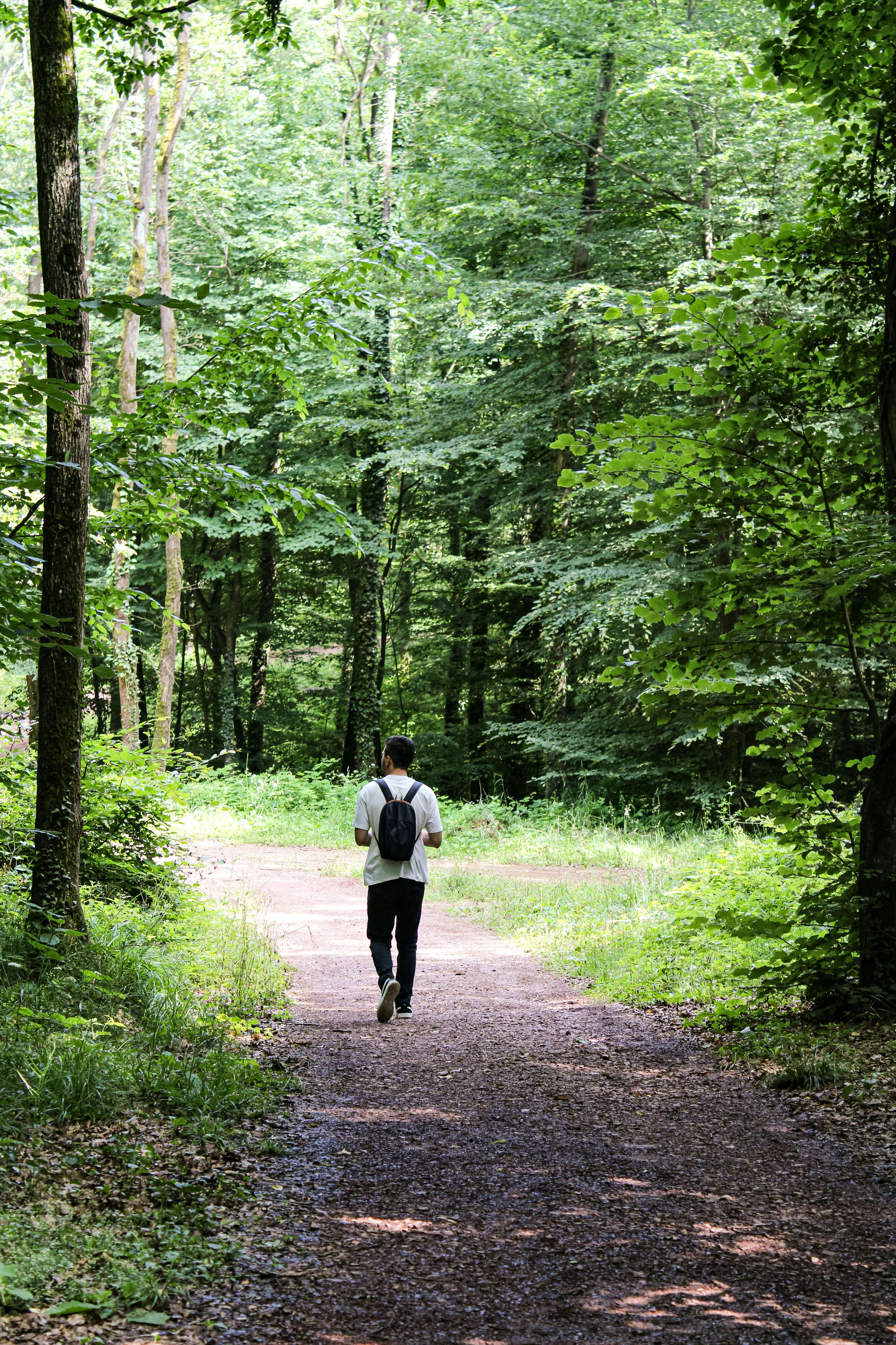 man walking alone on wooded path | mens therapy in Milwaukee, WI | mens therapist | mens anxiety, men and depression | Elm Grove | Brookfield | Pewaukee A man walking alone down a wooded dirt path surrounded by lush green trees. Taking the first step toward healing is possible — men's therapy in Milwaukee, WI helps men reconnect with themselves and move forward.